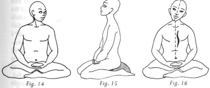 Практика дзэн - picture238.jpg