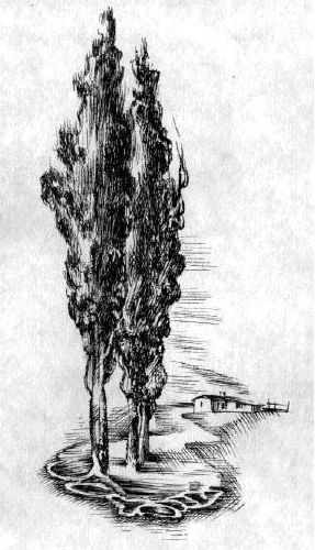 Истории, рассказанные вчера - _2.jpg