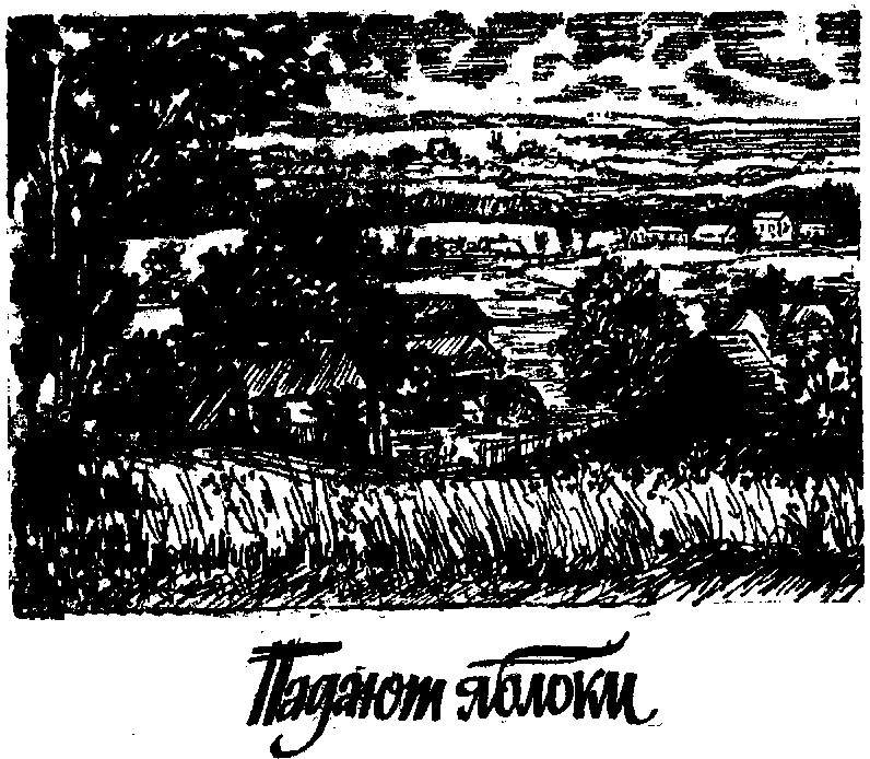 Четвертый разворот - img_2.png