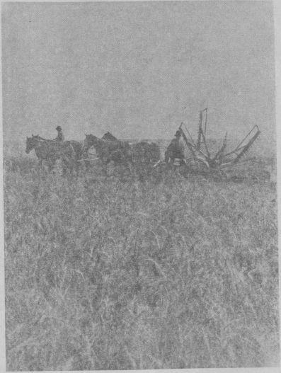 По страницам истории Кубани (краеведческие очерки) - i_019.jpg