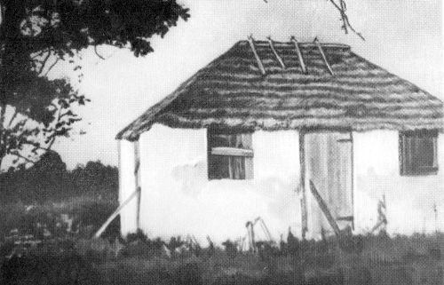 Остров в океане - Vrezka14.jpg