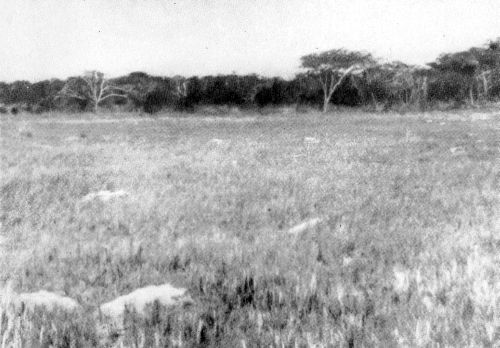 Остров в океане - Vrezka35.jpg