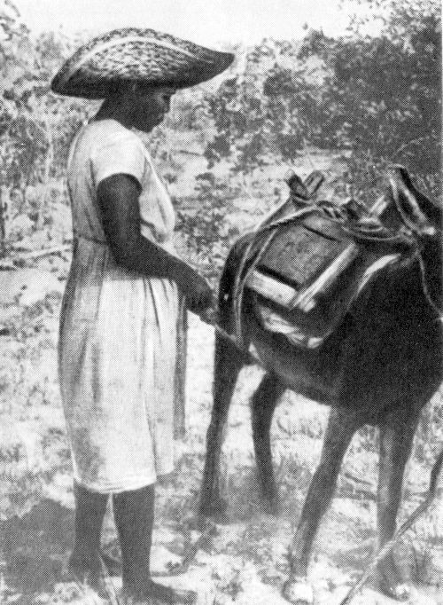 Остров в океане - Vrezka36.jpg