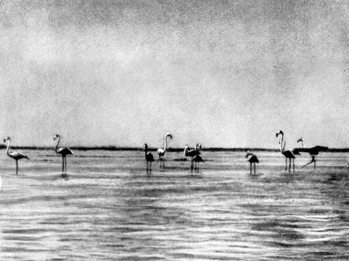 Остров в океане - Vrezka41.jpg