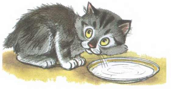 Приключения Бесхвостика Пелле - i_004.jpg