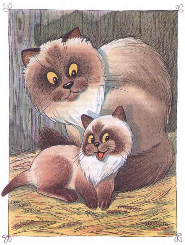 Приключения Бесхвостика Пелле - i_038.jpg