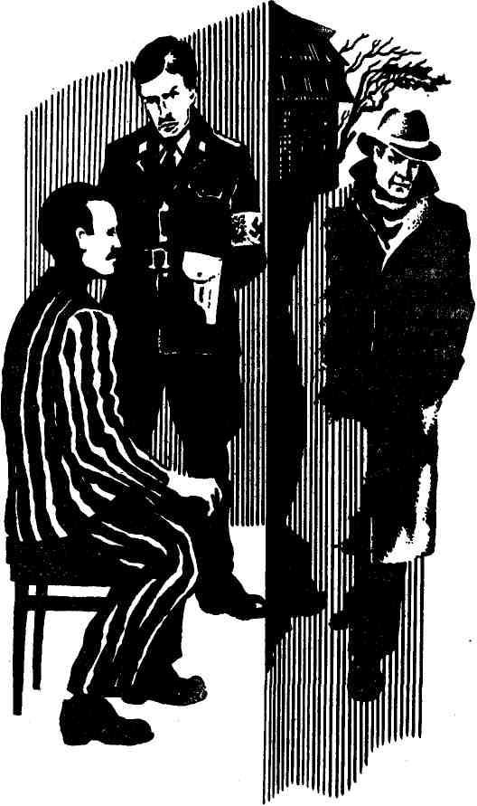 Занавес приподнят - img_3.jpeg