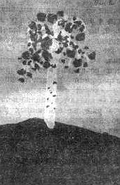 Ребенок учится говорить - _24.jpg