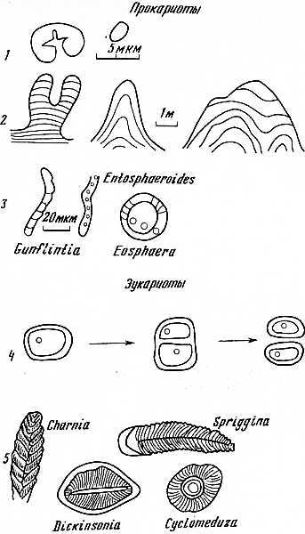 Читая каменную летопись Земли... - i_022.jpg