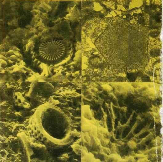 Читая каменную летопись Земли... - i_027.jpg