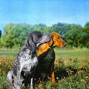 Слово о собаке - i_146.jpg