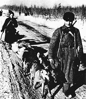 Слово о собаке - i_156.jpg