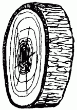Столярные и плотничные работы - i_005.png