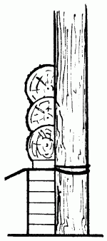 Столярные и плотничные работы - i_136.png