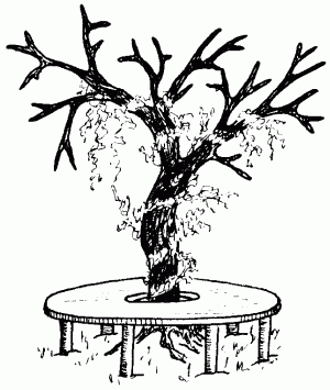 Столярные и плотничные работы - i_167.png