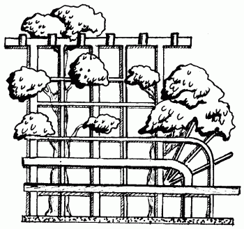 Столярные и плотничные работы - i_175.png
