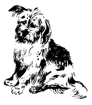 О чем лают собаки - pic_3.png