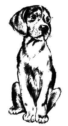 О чем лают собаки - pic_9.png