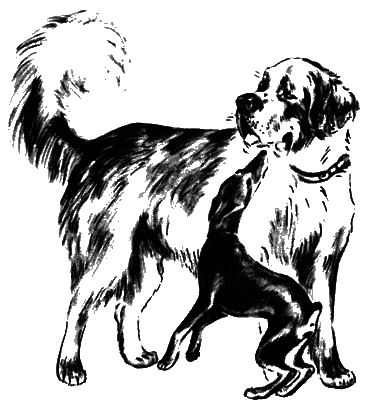 О чем лают собаки - pic_13.png