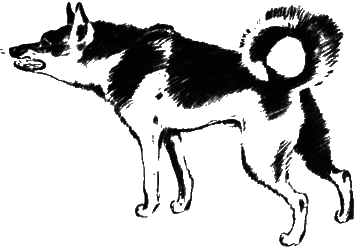 О чем лают собаки - pic_14.png