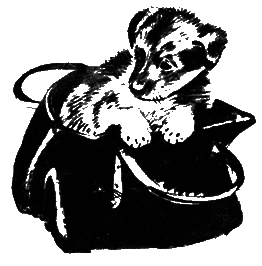 О чем лают собаки - pic_31.png