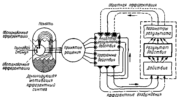 О чем лают собаки - pic_37.png