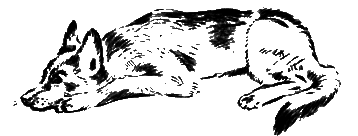 О чем лают собаки - pic_39.png