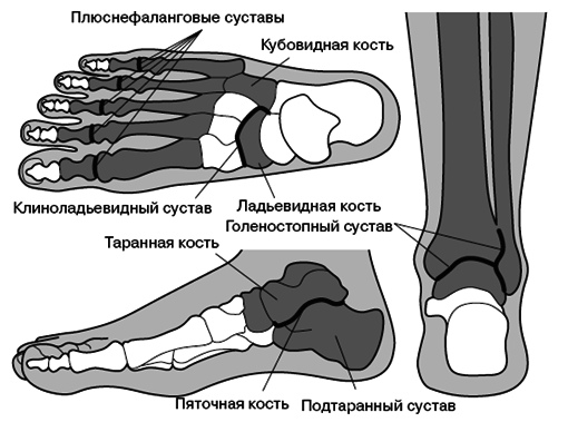 Все о здоровье ваших ног. От младенчества до старости - pic_2.png