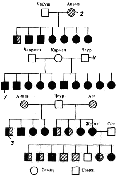 Эволюционно-генетические аспекты поведения: избранные труды - i_002.png