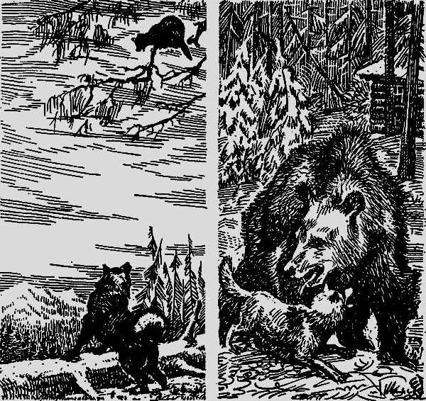 Тайга – мой дом - i_004.png