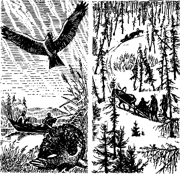 Тайга – мой дом - i_005.png