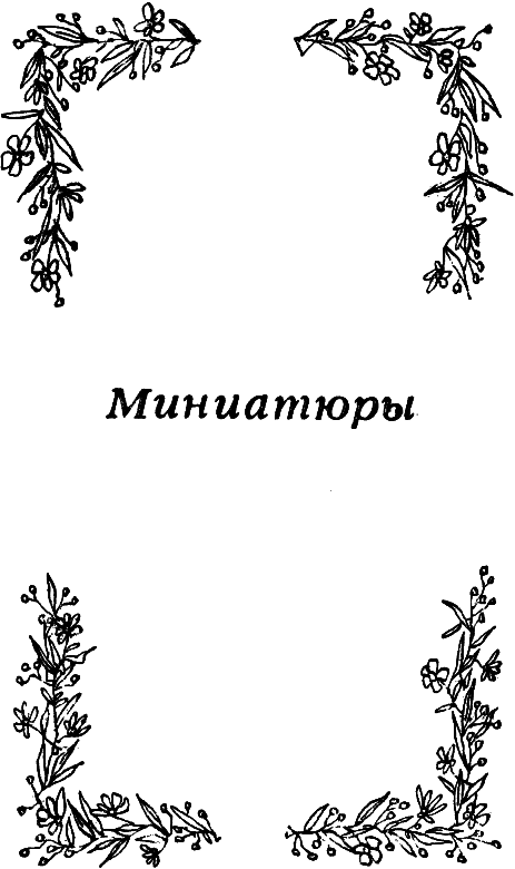 Листопад в декабре. Рассказы и миниатюры - i_005.png