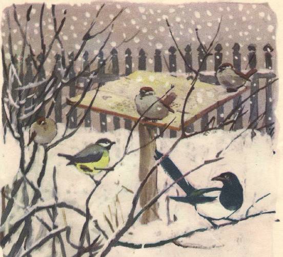 Зимние картинки - _15.jpg