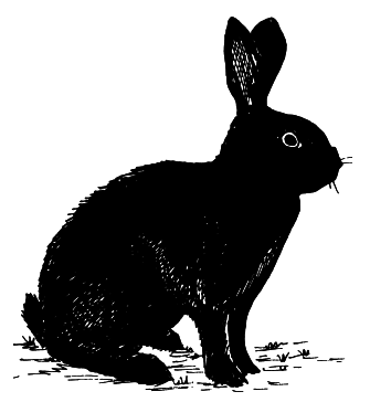 Кролики - i_014.png