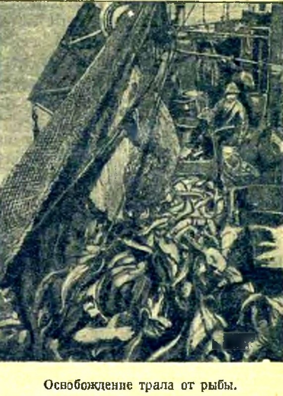 Арктика - i_025.jpg