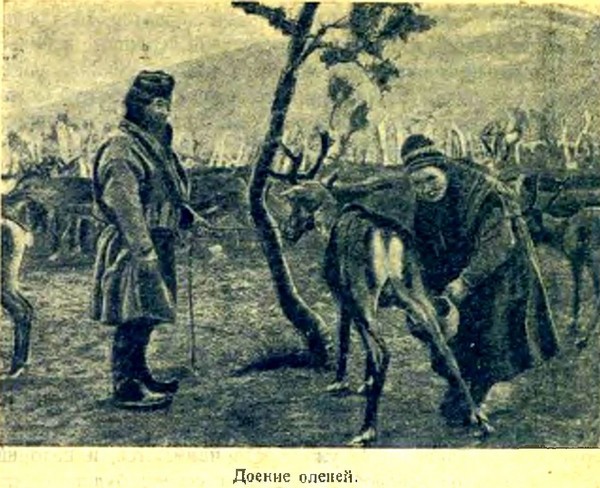 Арктика - i_029.jpg