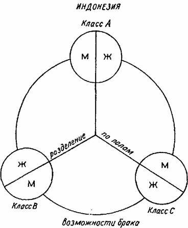 Структурная антропология - ib4fbc3193c