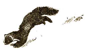 Журавлиная родина - i_008.png