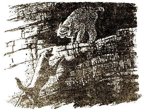 Журавлиная родина - i_009.png