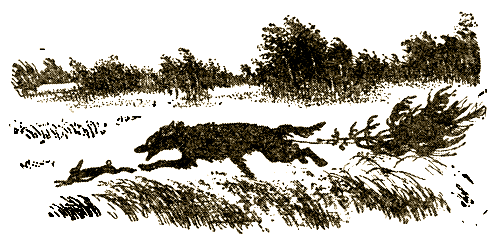 Журавлиная родина - i_013.png