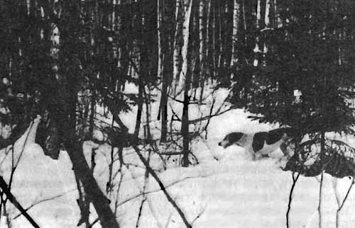 Охотничье братство - i_050.jpg