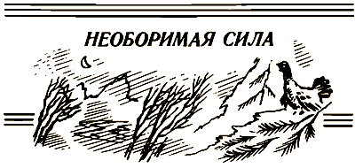 Охотничье братство - i_109.png