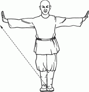 Боевая гимнастика. Упражнения китайского ушу для здоровья и самозащиты - i_057.png