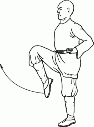 Боевая гимнастика. Упражнения китайского ушу для здоровья и самозащиты - i_060.png