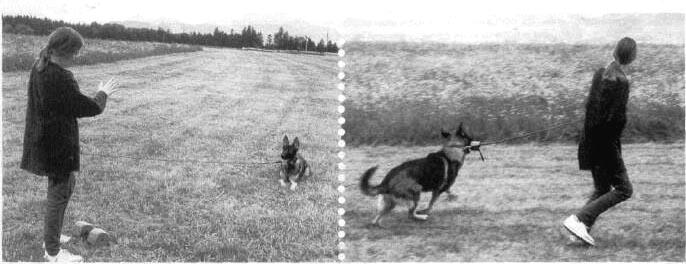 Апортировка весело, быстро, четко - i_003.jpg