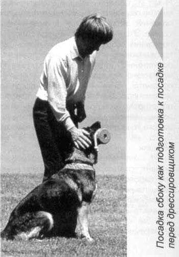 Апортировка весело, быстро, четко - i_004.jpg