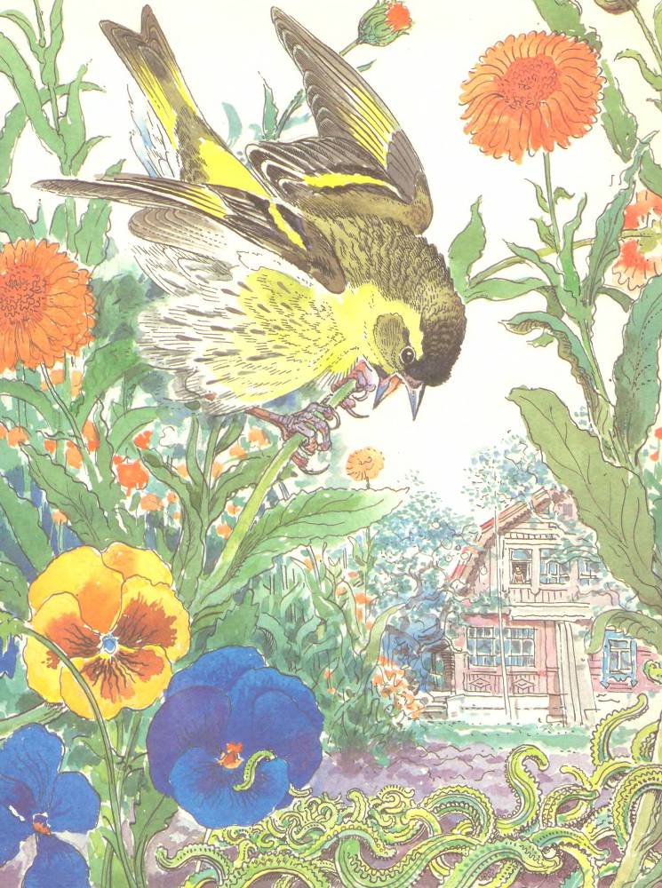 Лесной театр - _8.jpg