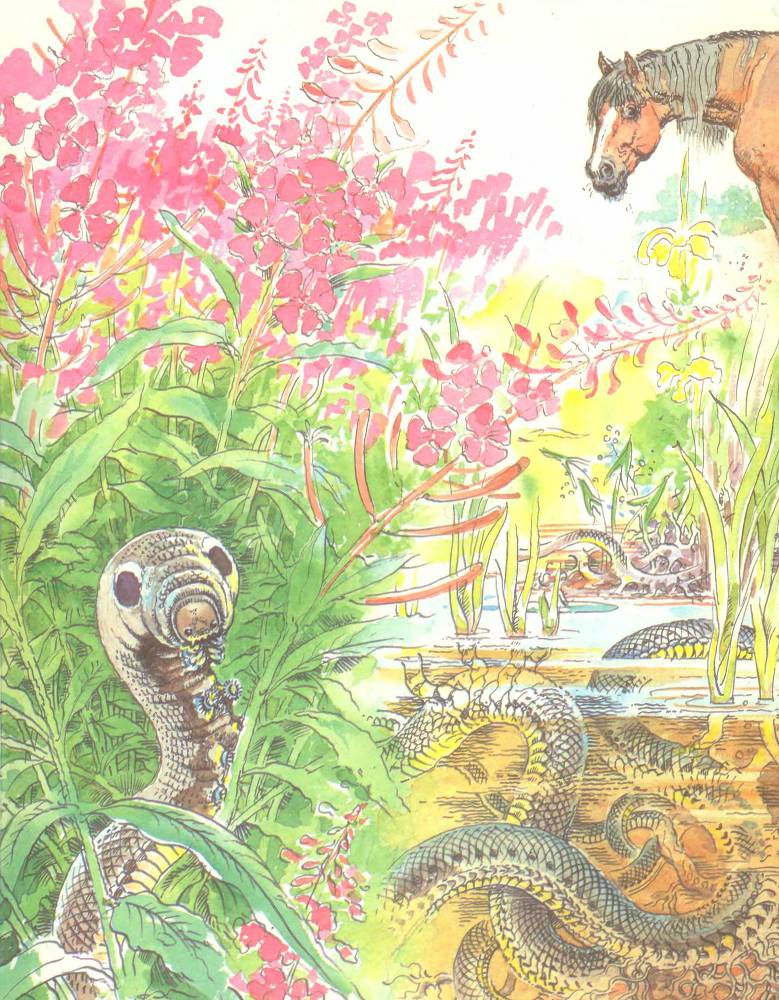 Лесной театр - _12.jpg