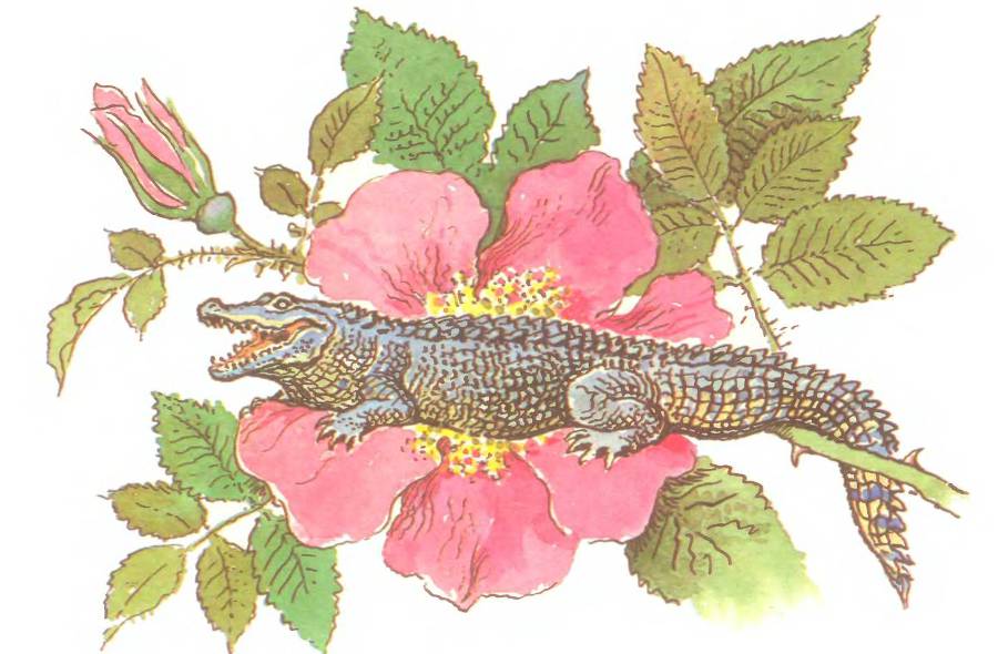 Лесной театр - _3.jpg