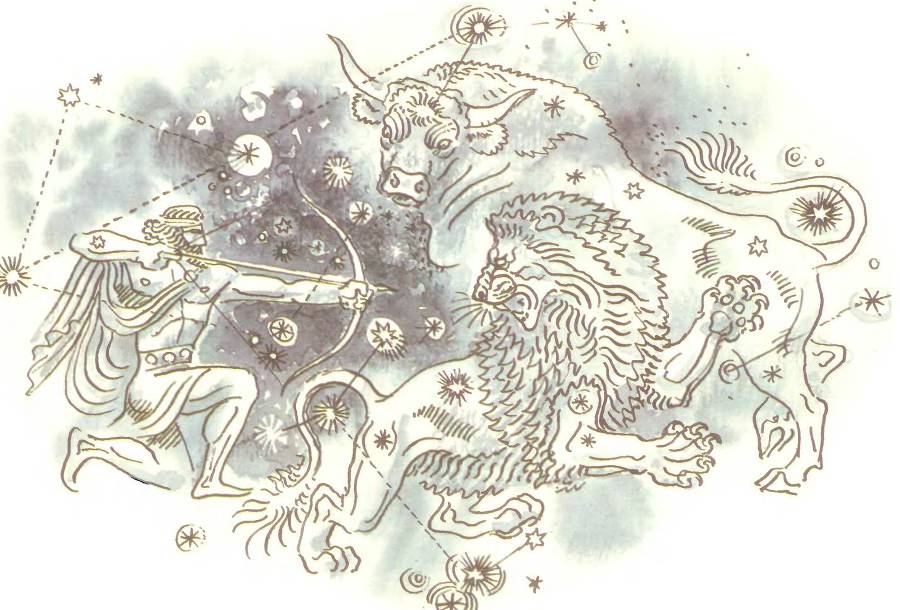 Лесной театр - _1.jpg